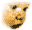dvb50.gif (463 octets)